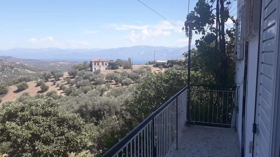 הוילה איגיו Vacation House Dionysia מראה חיצוני תמונה