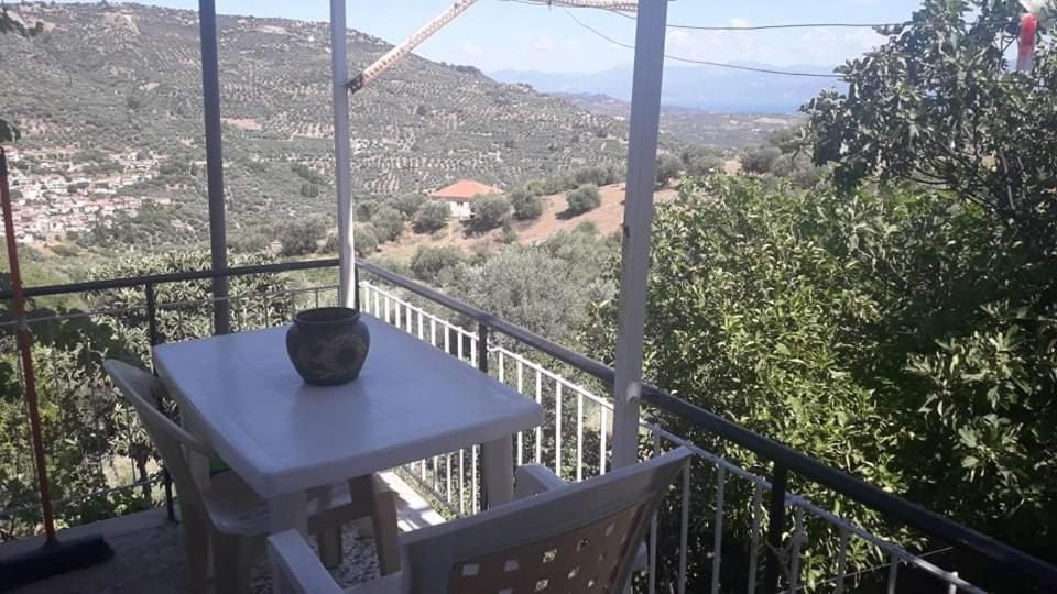 הוילה איגיו Vacation House Dionysia מראה חיצוני תמונה