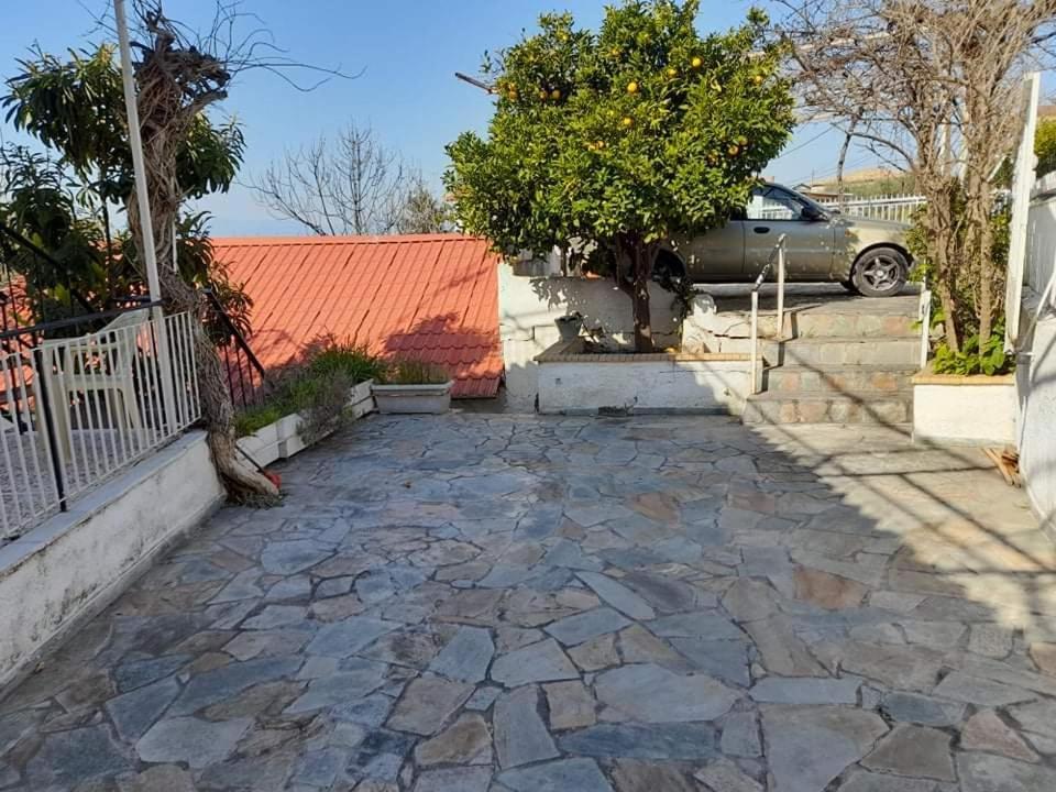 הוילה איגיו Vacation House Dionysia מראה חיצוני תמונה