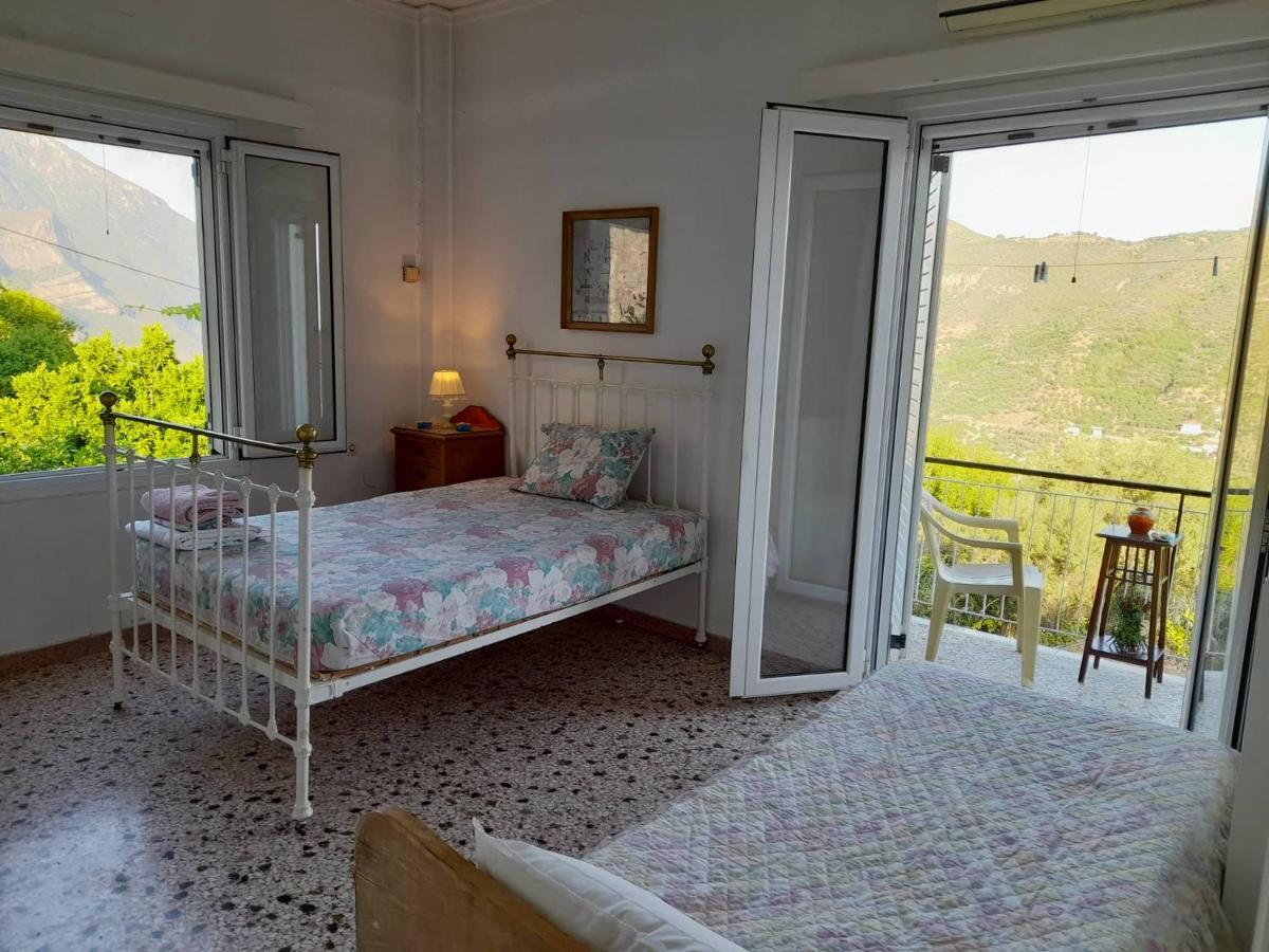 הוילה איגיו Vacation House Dionysia מראה חיצוני תמונה